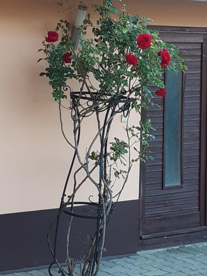 Herkules Apartman Zalakaros Exterior foto